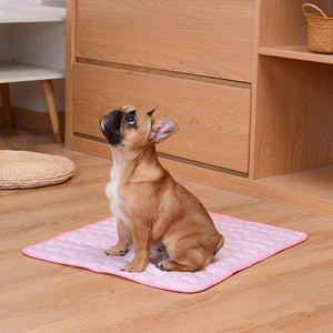 Summer Pet Cooling Mats