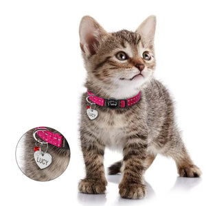 Custom ID Pet Collars (Engraved Tag)