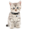 Custom ID Pet Collars (Engraved Tag)
