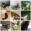 Pet Cat Harness - Cat Lovers (+ Lead)