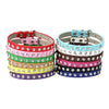 Cool to be Cute - Pet Collars