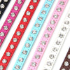 Cool to be Cute - Pet Collars