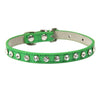 Cool to be Cute - Pet Collars