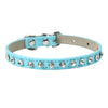 Cool to be Cute - Pet Collars