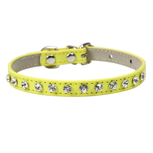 Cool to be Cute - Pet Collars