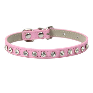 Cool to be Cute - Pet Collars