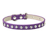 Cool to be Cute - Pet Collars