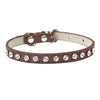 Cool to be Cute - Pet Collars