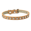 Cool to be Cute - Pet Collars