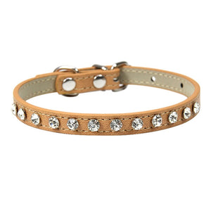 Cool to be Cute - Pet Collars