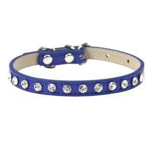 Cool to be Cute - Pet Collars