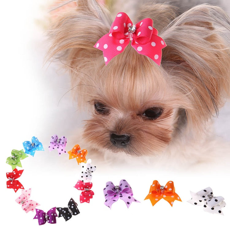 Spots & Dots - Dog Hair Bows (1 Pair)