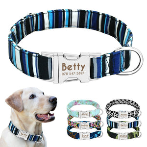 Pet Home - ID Collar