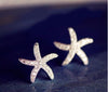 Silver Starfish -  Earrings