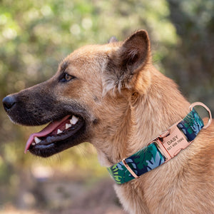 Pretty my Pet - ID Collars