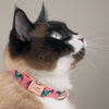 Pretty my Pet - ID Collars