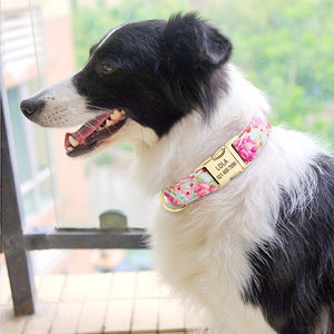 Pretty my Pet - ID Collars