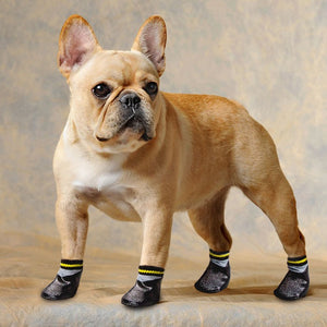 PET Booties (4pcs/set Waterproof)