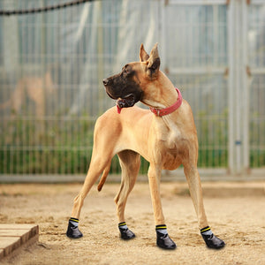 PET Booties (4pcs/set Waterproof)