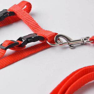 Pet Cat Harness - Cat Lovers (+ Lead)