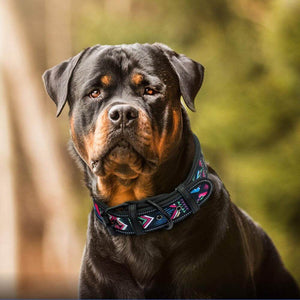 Bonza Cool - Pet Collars (Reflective)