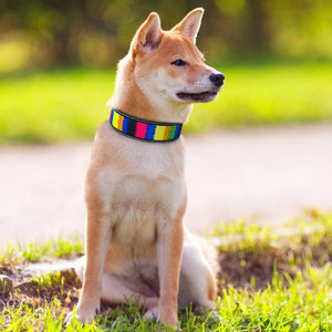 Bonza Cool - Pet Collars (Reflective)