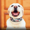 Bonza Cool - Pet Collars (Reflective)