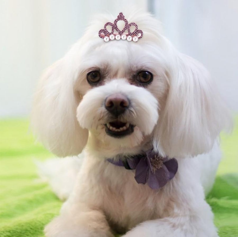 Tiara Hair Crown