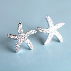 Silver Starfish -  Earrings