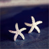 Silver Starfish -  Earrings
