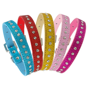 Walking Bling - Pet Collars