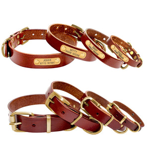 Pet Leather - ID Collar