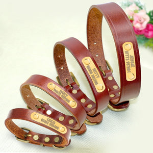 Pet Leather - ID Collar