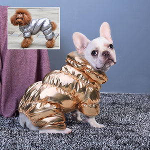 Dazzling Fashion - Pet Coats (S-2XL)