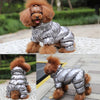 Dazzling Fashion - Pet Coats (S-2XL)