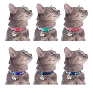 Cute Custom - Safety Collars