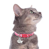 Cute Custom - Safety Collars