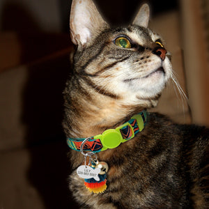 Cute Custom - Safety Collars