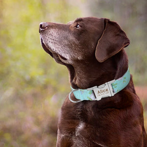 Pet Home - ID Collar