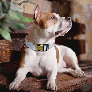 Simple & Smart - ID Pet Collars (S/M/L)