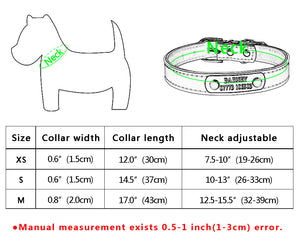 Custom ID - Dog Collars (XS-M)