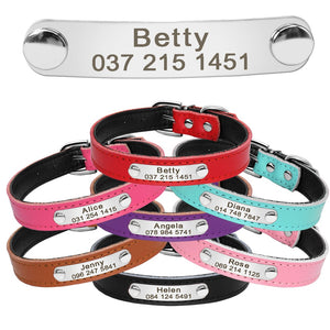 Custom ID - Dog Collars (XS-M)