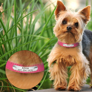 Custom ID - Dog Collars (XS-M)