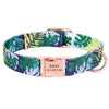 Pretty my Pet - ID Collars