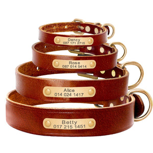 Pet Leather - ID Collar