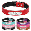 Custom ID - Dog Collars (XS-M)