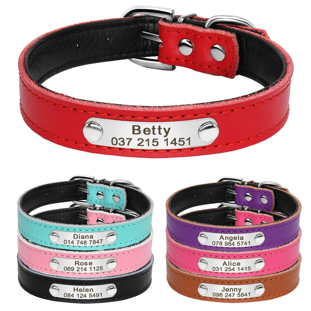 Custom ID - Dog Collars (XS-M)