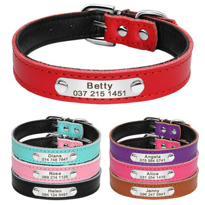 Custom ID - Dog Collars (XS-M)