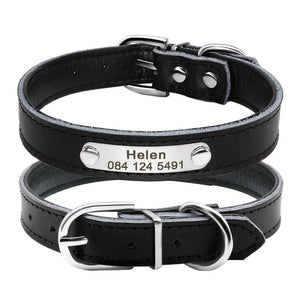 Custom ID - Dog Collars (XS-M)