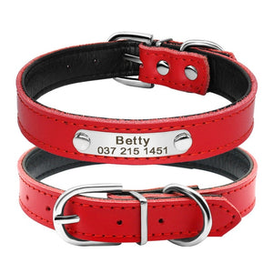 Custom ID - Dog Collars (XS-M)